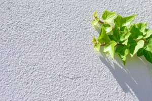 exterior-wall-putty